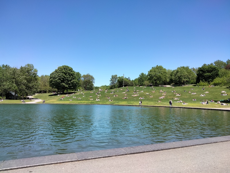 Lac aux castors dans le parc Mont-Royal